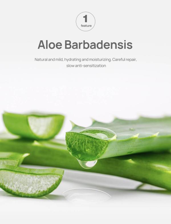 Lanbena Aloe Deep Cleansing Nose Strips 4