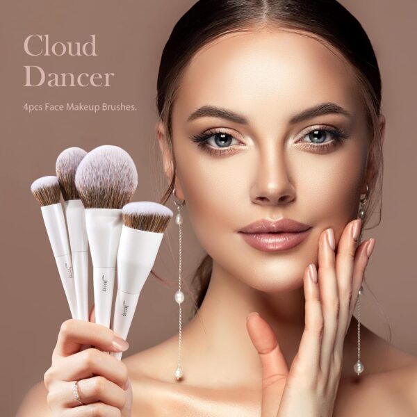 Jessup 4PCS Luxury Face Makeup Brush Set T344